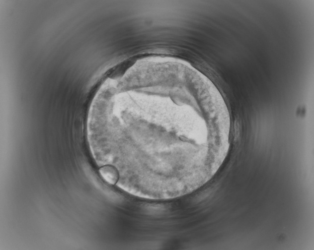 X0000113140349200910161201