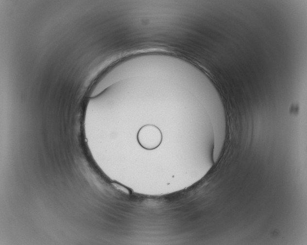 X0000113140350200910161201