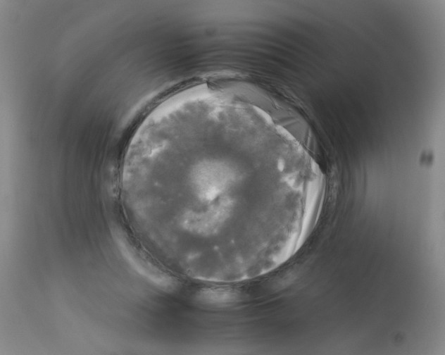 X0000113140351200910161201