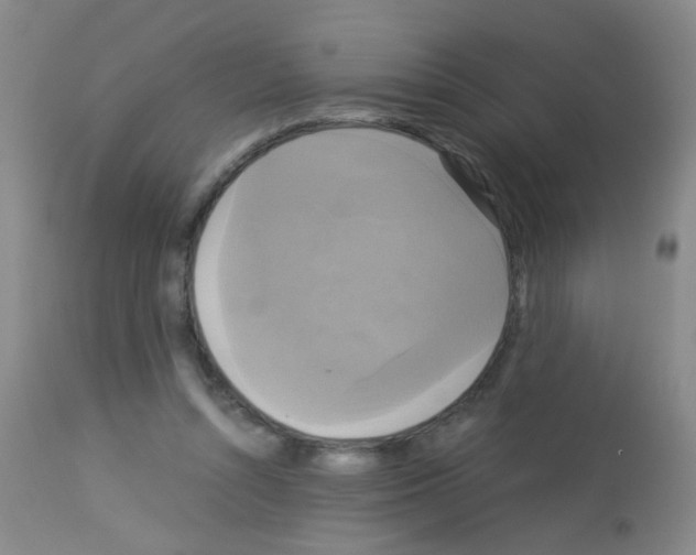 X0000113140352200910161201