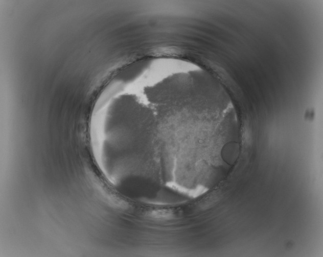 X0000113140353200910161201