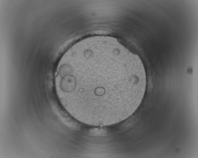 X0000113140354200910161201