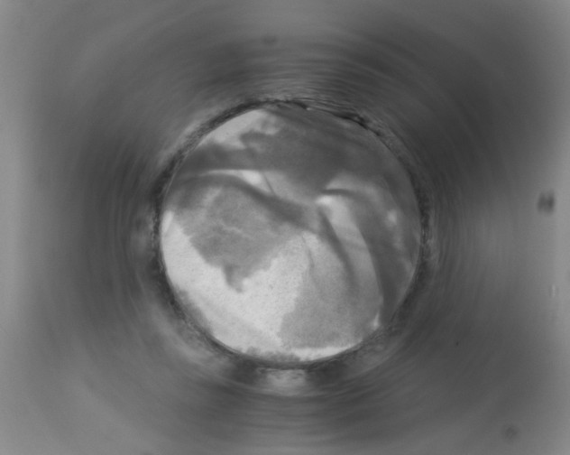 X0000113140355200910161201