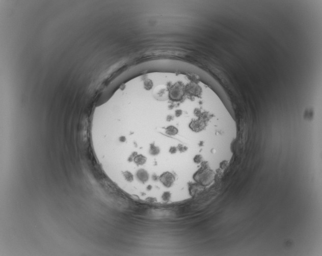 X0000113140356200910161201