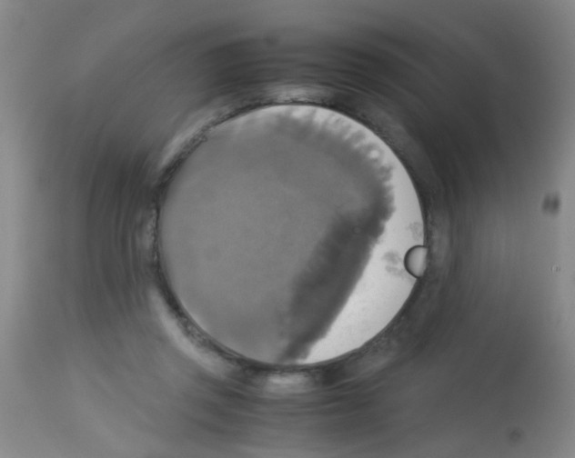 X0000113140357200910161201