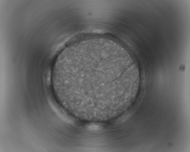 X0000113140358200910161201