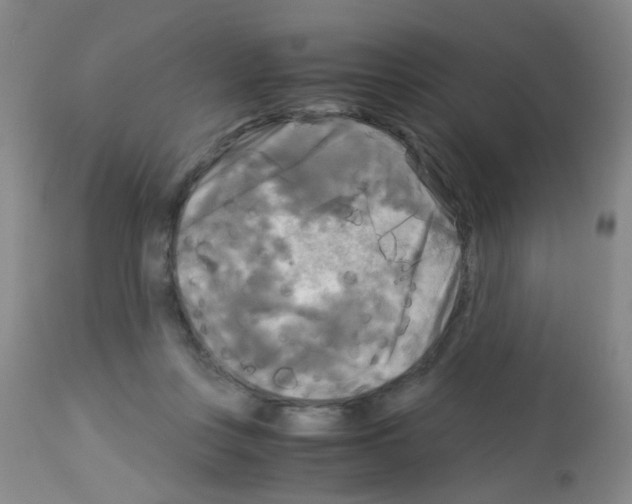 X0000113140359200910161201