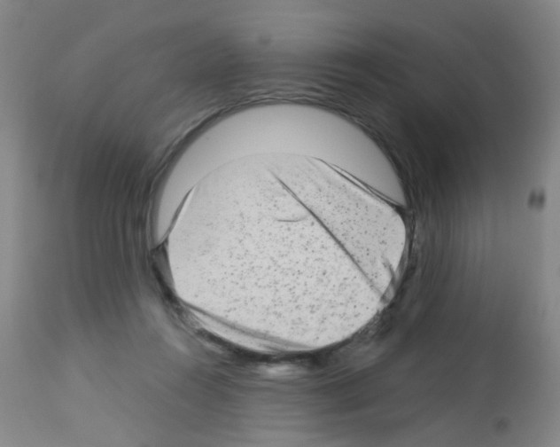 X0000113140360200910161201