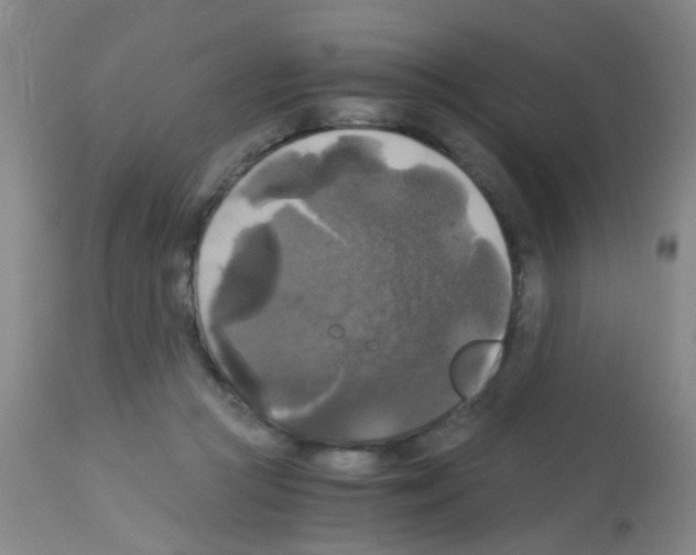 X0000113140361200910161201