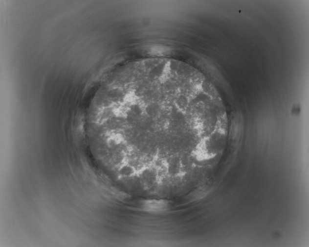 X0000113140363200910161201