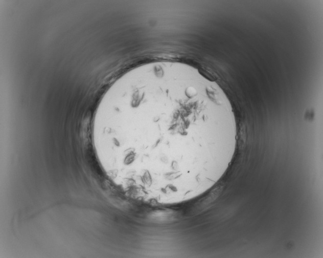X0000113140364200910161201