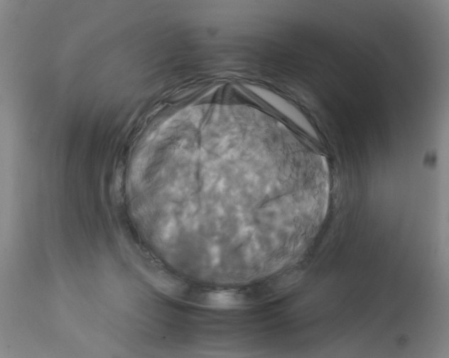 X0000113140365200910161201