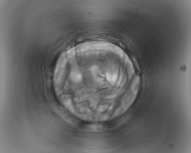 X0000113140366200910161201
