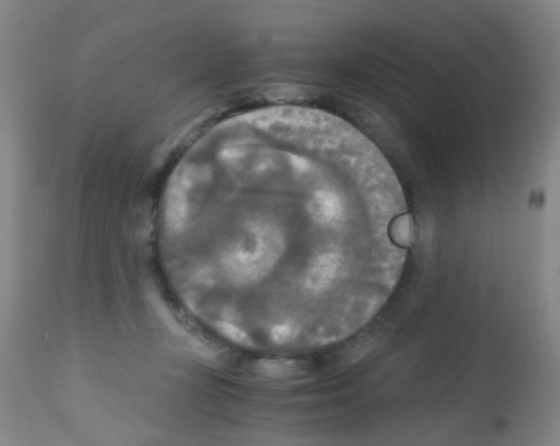 X0000113140367200910161201