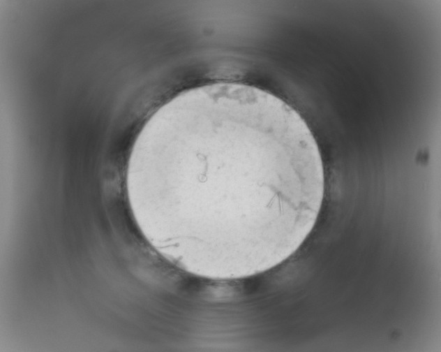 X0000113140370200910161202