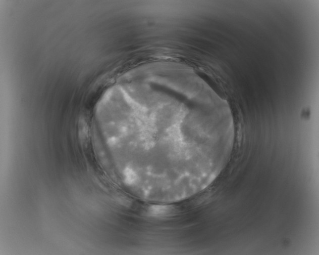 X0000113140371200910161202