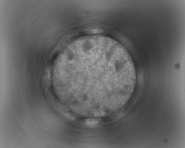 X0000113140373200910161202