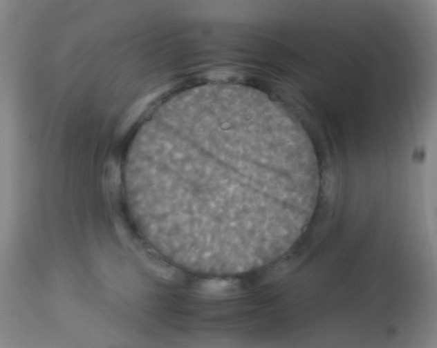 X0000113140375200910161202