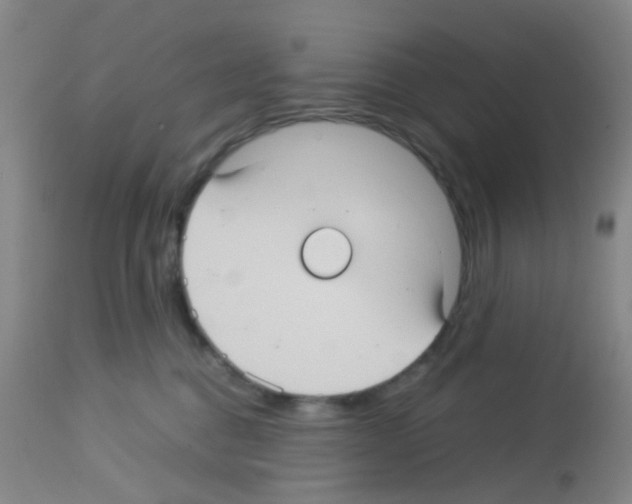X0000113140376200910161202