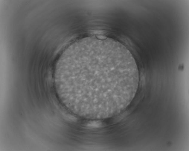 X0000113140377200910161202