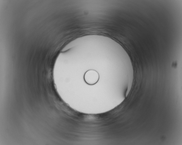 X0000113140380200910161202
