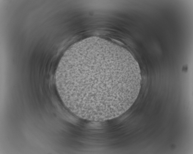 X0000113140381200910161202