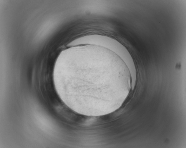 X0000113140382200910161202