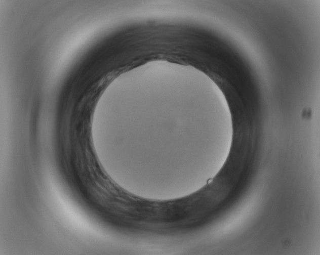 X0000113140383200910161202
