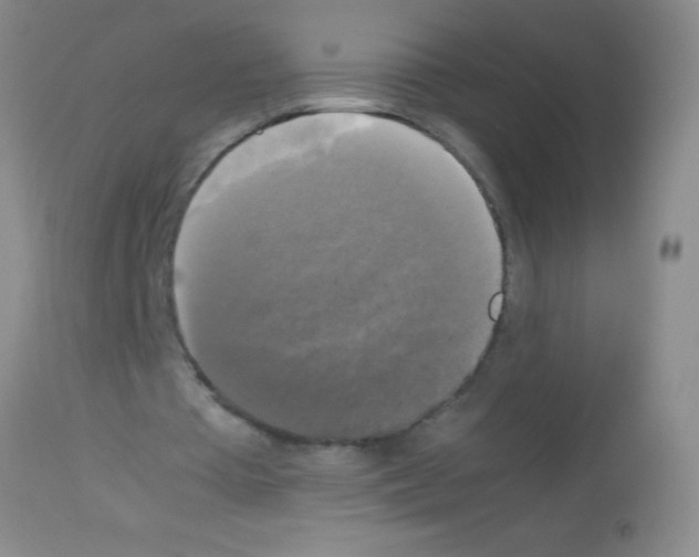 X0000113140385200910161201