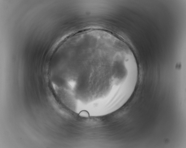 X0000113140386200910161201