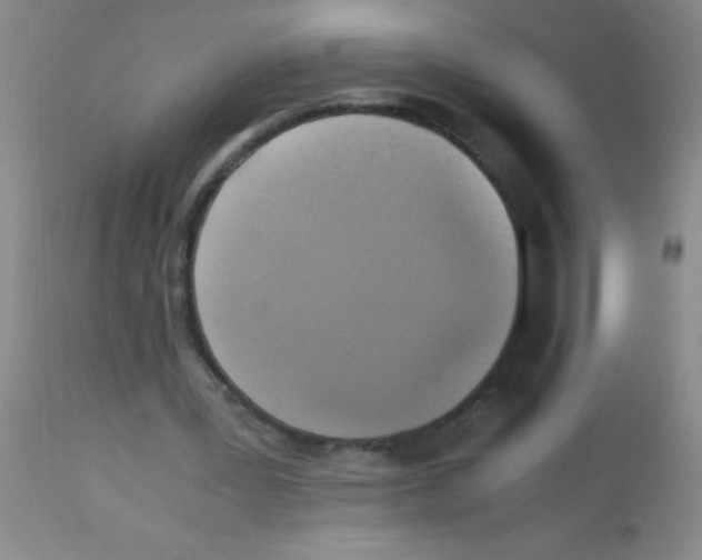 X0000113140387200910161201