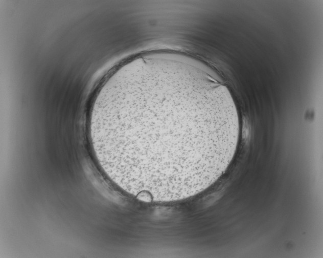 X0000113140388200910161201