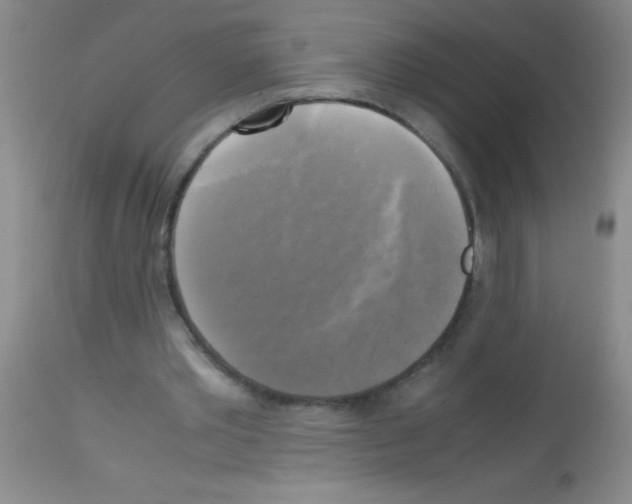 X0000113140389200910161201
