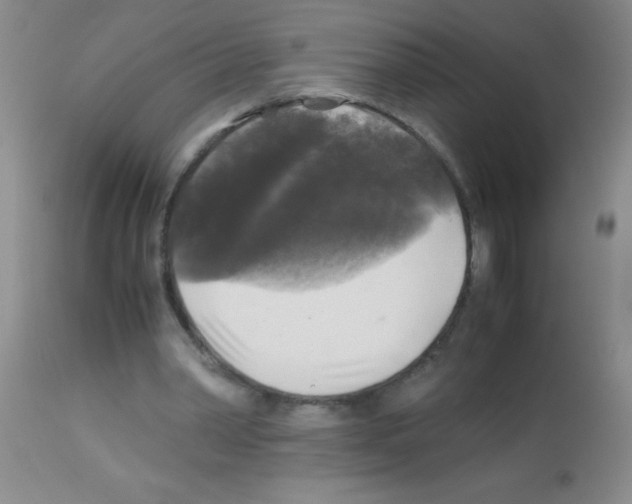 X0000113140390200910161201