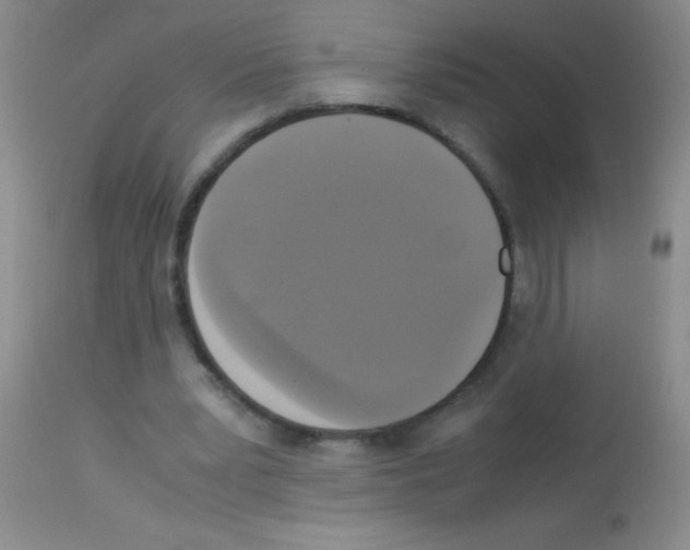 X0000113140391200910161201