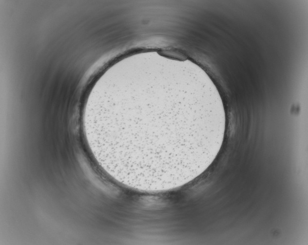X0000113140392200910161201