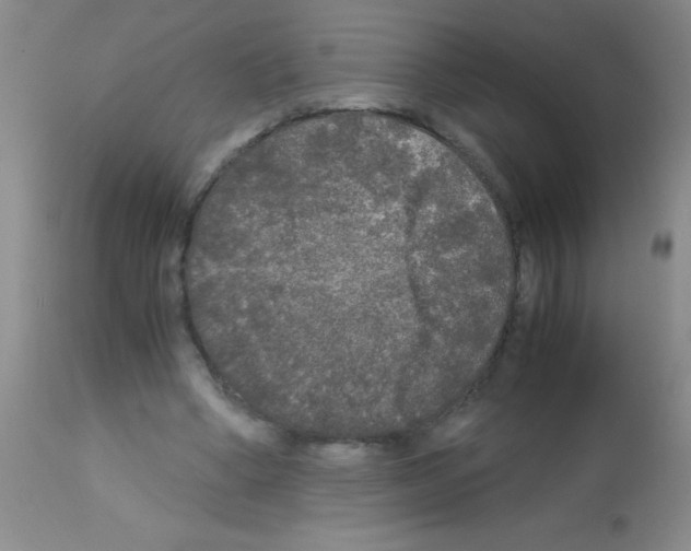 X0000113140394200910161201