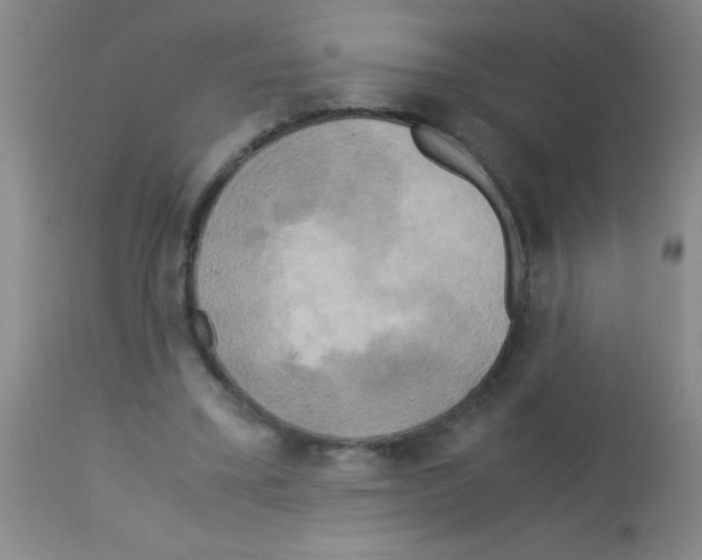 X0000113140395200910161201