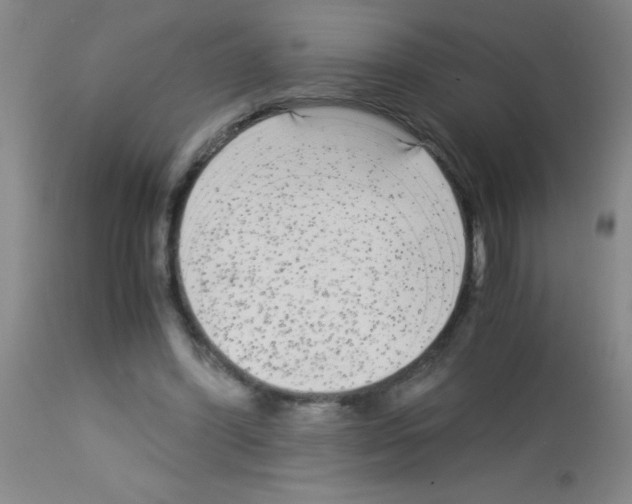 X0000113140396200910161201