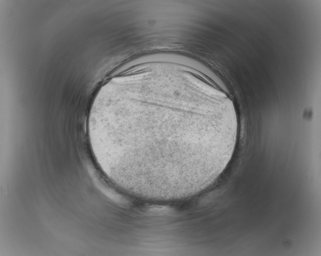 X0000113140397200910161201