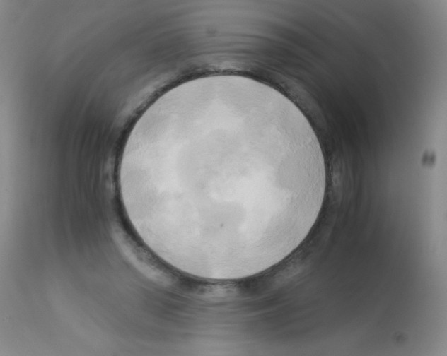 X0000113140398200910161201