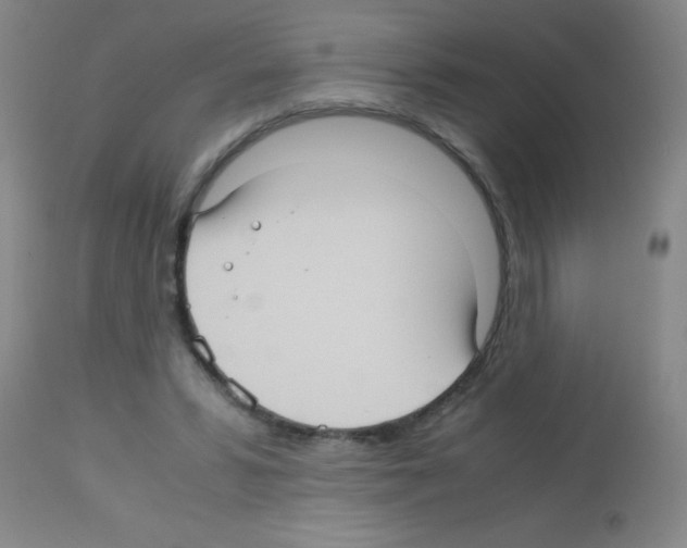 X0000113140399200910161201