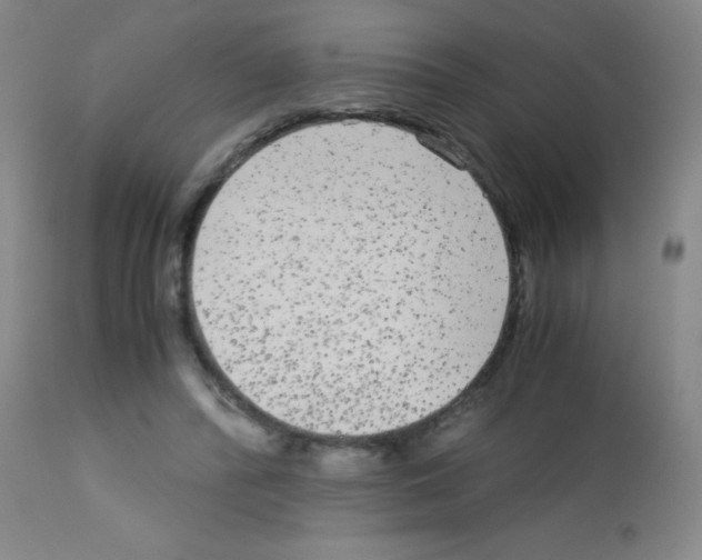 X0000113140400200910161201