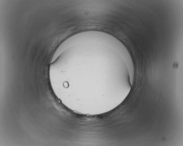 X0000113140401200910161201