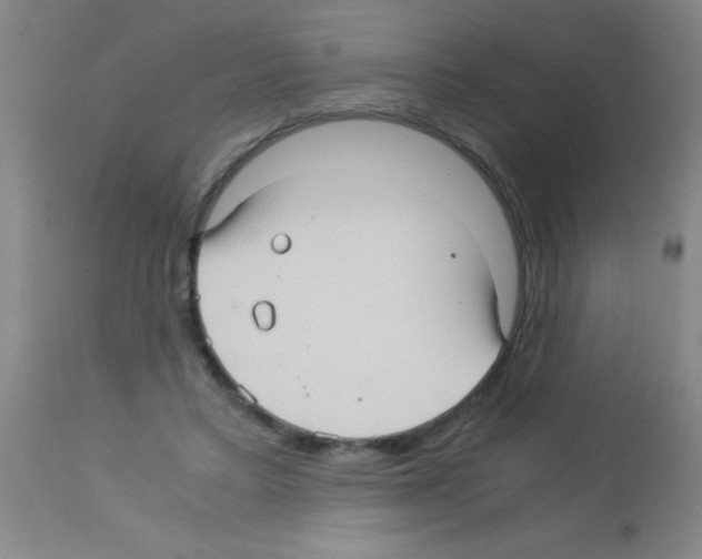 X0000113140403200910161201