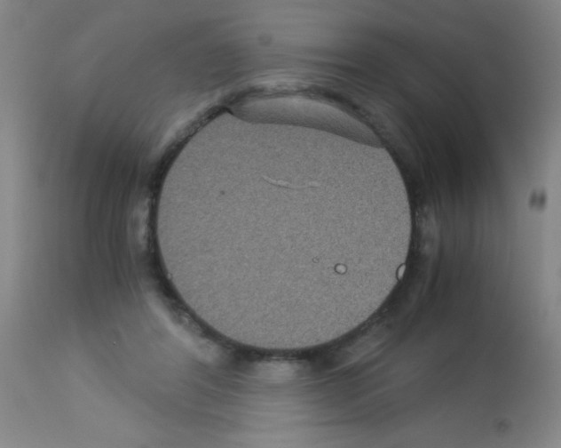 X0000113140404200910161201