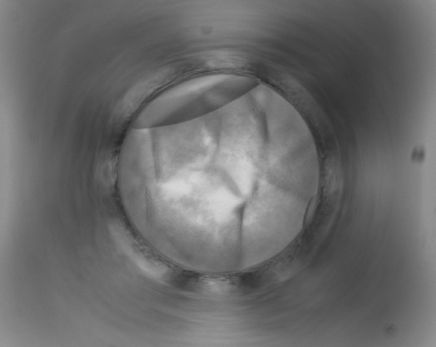 X0000113140405200910161201