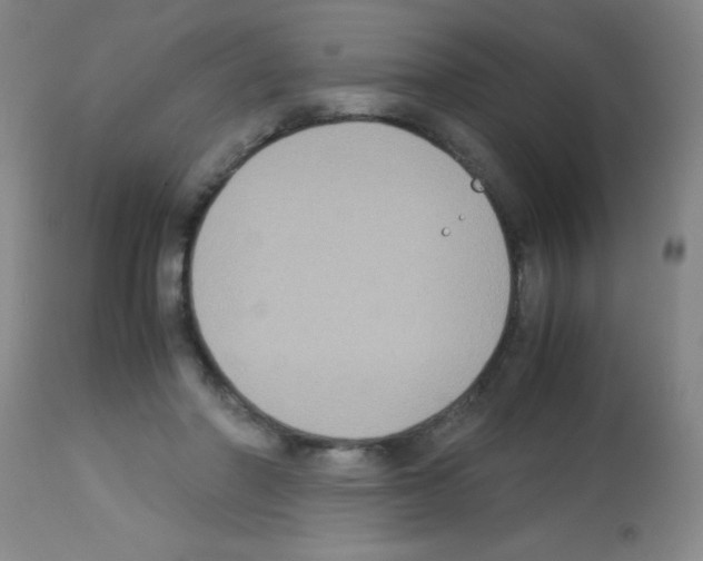 X0000113140406200910161201