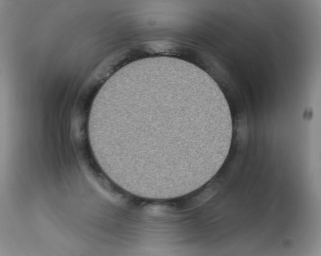 X0000113140408200910161201