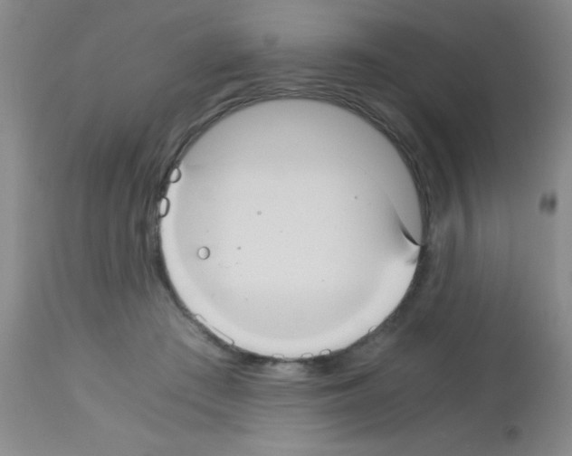 X0000113140409200910161201